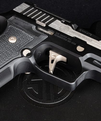 P320 AXG Equinox