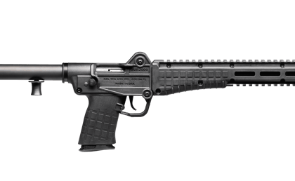 AR-15 Rifles - Fast Ship for sale