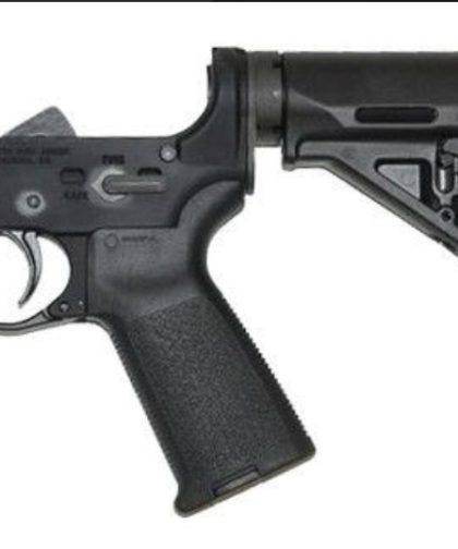 PSA – PALMETTO STATE ARMORY AR15 COMPLETE STEALTH LOWER MAGPUL MOE