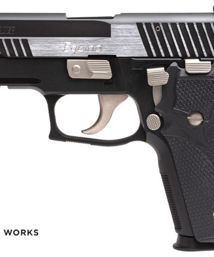 Shop P229 Equinox Elite Compact