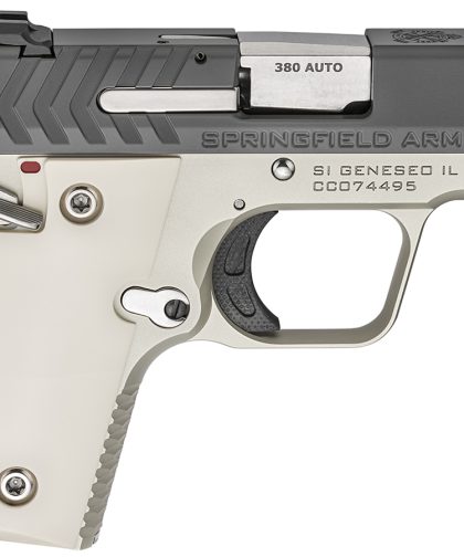 Springfield 911 .380 ACP Platinum/Graphite Carry Conceal Pistol