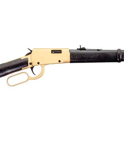 Rossi Rio Bravo 22LR Lever-Action Rifle with Gold Receiver and Hardwood Stock
