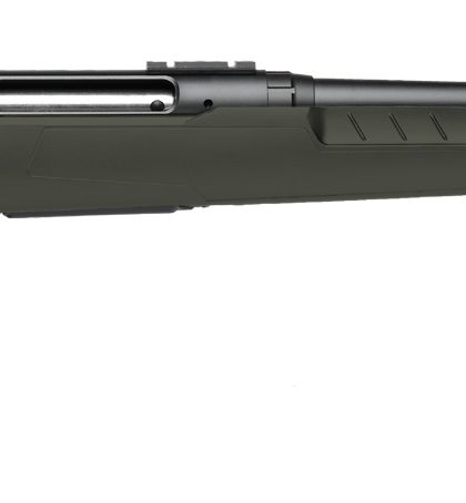 Savage Axis 2 .223 Remington Rifle